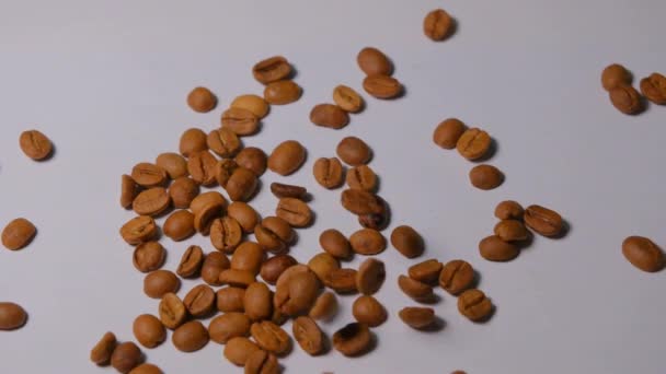 コーヒー豆の多くはゆっくりとした動きコーヒー豆の落下アラビカコーヒー豆は白い背景を隔離 — ストック動画