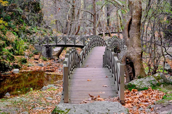 Wooden Bridge River Puddle Autumn Tree Leaves — Stock Photo, Image