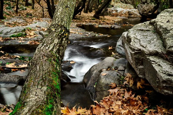 Dlouhá Expozice Fotografie Přírody Průtoku Vody Kamene Těla Stromu Podzim — Stock fotografie