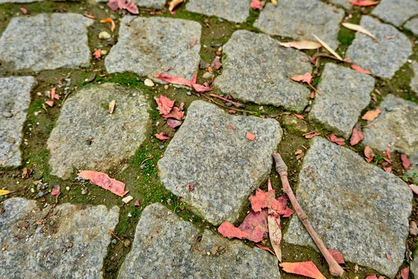 Gravel Road Top View Gravel Road Dried Plants Stone — 图库照片