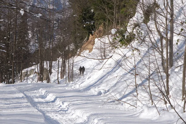 在雪地上的小径上 两个人在雪地上走着 走在山顶上 冬季远足的概念 — 图库照片