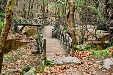 Köprü grupları, tahta köprüler, küçük gölet ve nehir, sonbahar mevsimi, sonbahar renkleri. Kurumuş yapraklar.