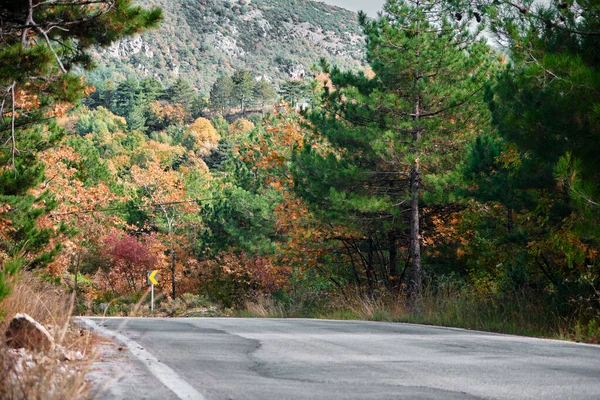 Asfalt yol, alçak ve geniş açılı yol fotoğrafı sonbahar, sonbahar renkleri arka plan tepe ile dönüm işareti ile.