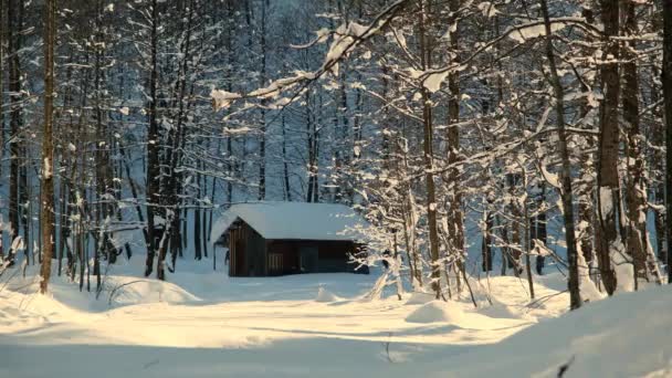 村子里的房子在冬天 大雪的屋顶 雪的屋顶都是木制的农村房子 Winter Concept Video — 图库视频影像