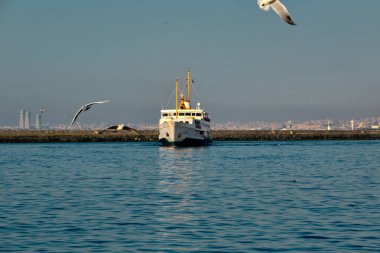 İstanbul 'da İstanbul Boğazı' ndaki toplu taşıma gemisi, martılar ve yaya feribotu.