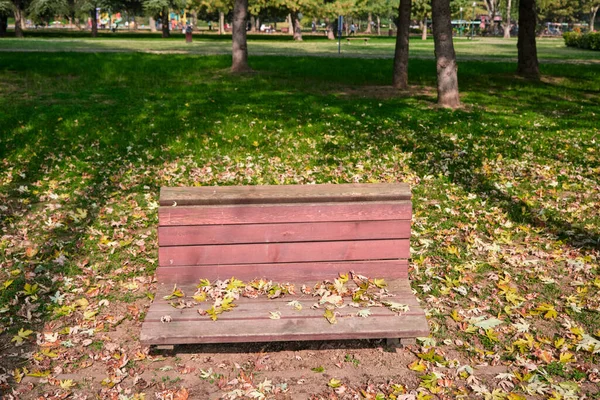 Vysokoúhlá Lavička Podzimní List Zemi Dřevěné Lavicové Sedátko Botanickém Parku — Stock fotografie