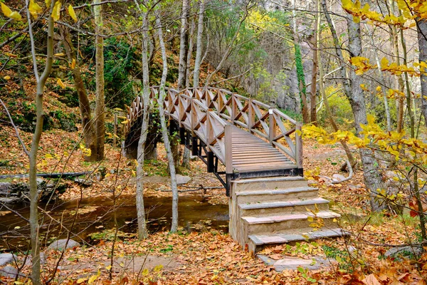 Wooden Bridge Small River Suspension Wooden Bridge Dried Leaves Fall — Stock Photo, Image