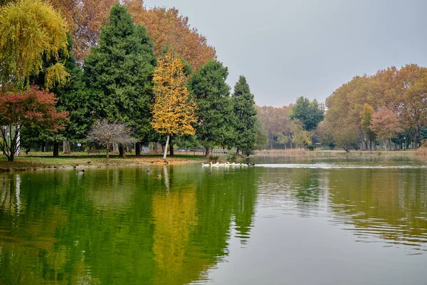 Colores Otoñales Caída Multicolor Estanque Medio Del Parque Botánico Bursa — Foto de Stock