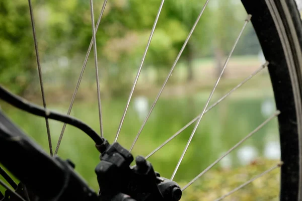 Bordas Bicicleta Foto Lagoa Borrada Botânica Detalhes Aros Bicicleta Roda — Fotografia de Stock