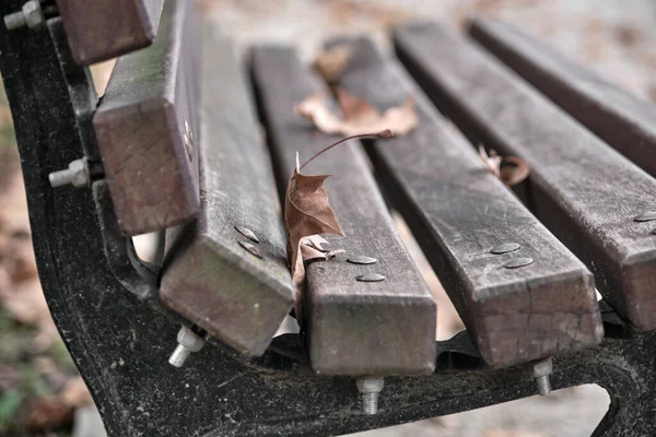 Wooden Bench Dried Leaves Wood Bench Autumn Concept Idea — Photo