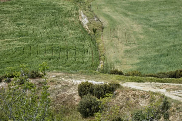 Yüksek Açı Çayırların Tarımsal Alanların Üst Görüntüsü — Stok fotoğraf