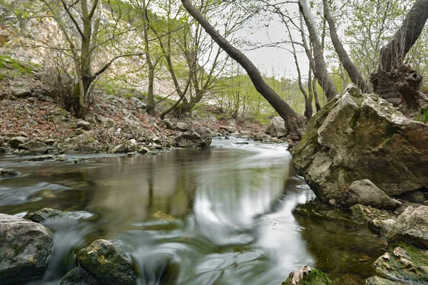 Long Exposure River Photo Water Flow Reflection Trees Water Surface — Stok fotoğraf