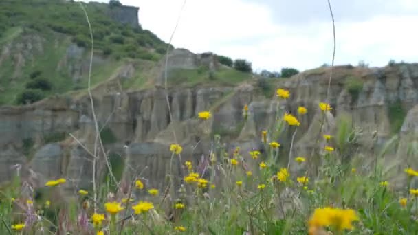 Beautiful Nature View Mountains Yellow Flowers Background Geological Rock Formation — Video