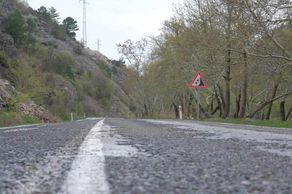 Ormanın arka planında yeşil yapraklar olan yol. Tek yol çizgisi ve trafik işareti