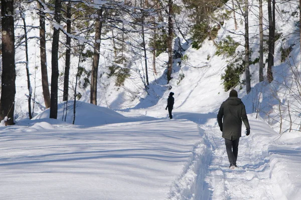 Зимний Пейзаж Заснеженными Деревьями Люди Идут Тропе Заснеженной Дороге — стоковое фото