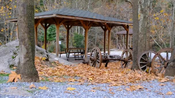 Old Rusty Car Park Wooden Carts Autumn Fall Colors Dried — Stock Video