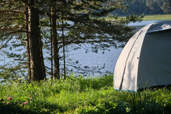 camping tent on the river, costline lake of green camping area.