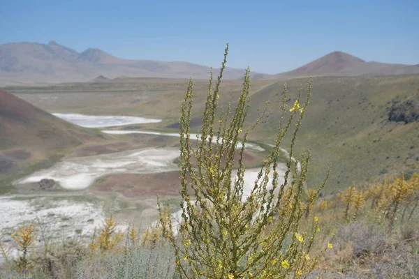 Beautiful Landscape Mountain Lake Meke Lake Local Name Meke Golu — 스톡 사진