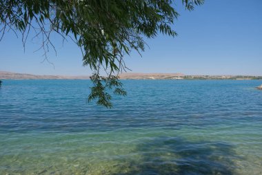 Euphrates river, turquoise color view over tree view from Gaziantep. Local name is Frat Nehri. 