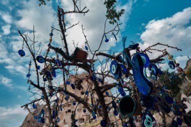 Many blue bead worn against the evil eyes hanging on the tree in cappadocia, local name of the blue bead worn against the evil eye is nazar boncugu.