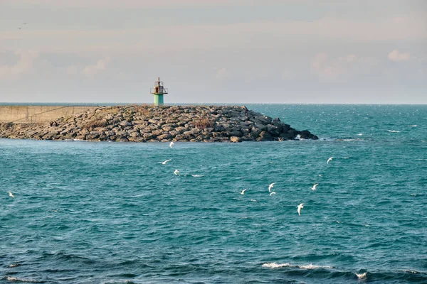 Light house in breakwater, lighthouse and many seagull fly freely in Black Sea, Trabzon