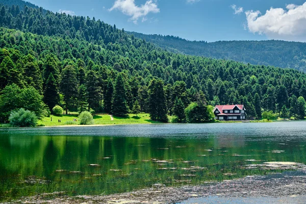 Nature view and single house, a pine forest, lake, grass and beautiful house and its reflection on water pond