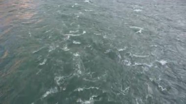 Uçan su manzarası, Borka, Artvin 'de geniş çaplı nehir suyu. 4k Video