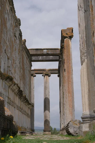 Vertical view of ancient roman column, ancient ruin column greek in Zeus Temple in Turkey.