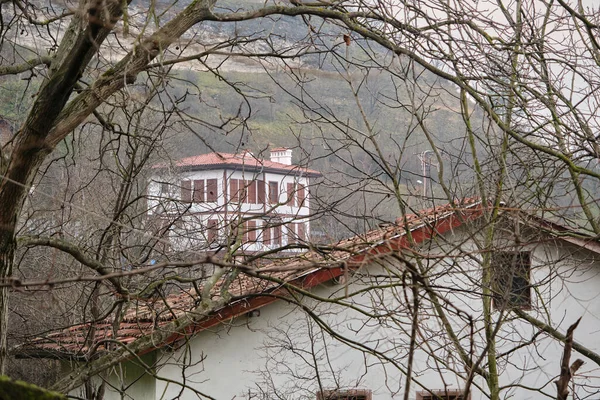 Vecchia Casa Legno Nel Parco — Foto Stock