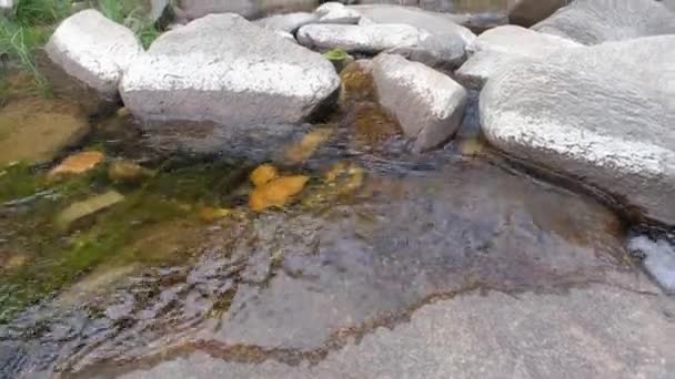 Vídeo Pedra Bonita Pedras Erodidas Pela Água Água Formada Rochas — Vídeo de Stock