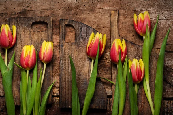 Rojo Amarillo Dos Flores Tulipán Color Sobre Fondo Madera Vista — Foto de Stock