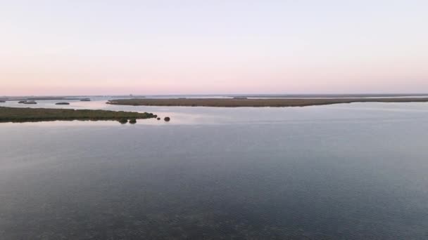 Aerial View Mangroves Seaside United Arab Emirates Umm Quwain Mangrove — Stock Video