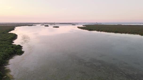 Aerial View Mangroves Seaside United Arab Emirates Umm Quwain Mangrove — Stock Video