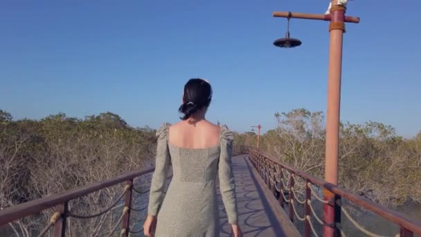 Femme Visitant Mangrove Promenade Balnéaire Parc Public Jubail Île Abu — Video