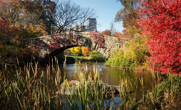 Scena Jesienna Central Parku Nad Jeziorem Nowy Jork Jesienny Krajobraz — Zdjęcie stockowe