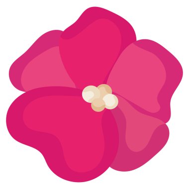 İzole edilmiş pembe çiçek gökyüzü görüntüleme vektörü