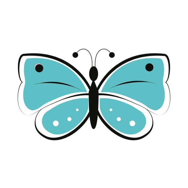 Isolated colored beautiful butterfly animal Vector — Stock Vector