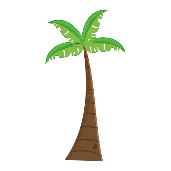 Isolated palm tree icon flat design Vector — 스톡 벡터