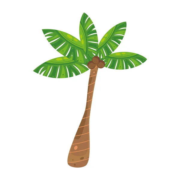 孤立棕榈树图标平面设计矢量 — 图库矢量图片
