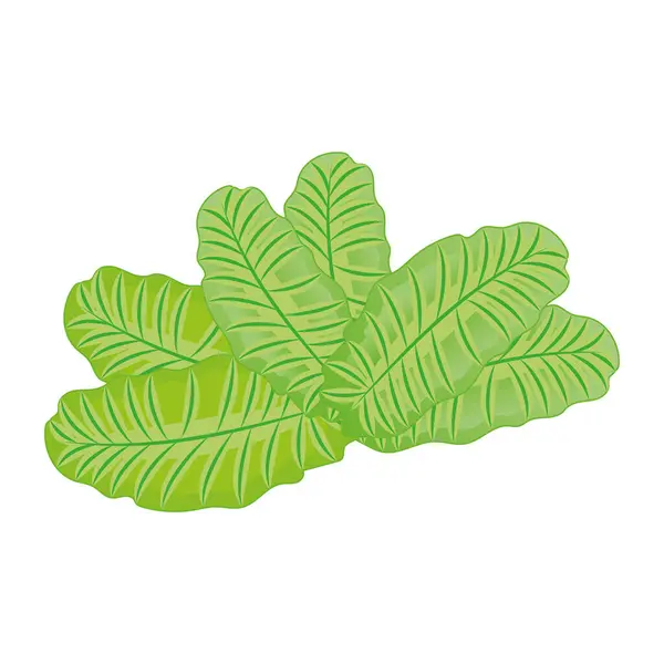 Isolated colored natural leaf icon Flat design Vector — Stock Vector