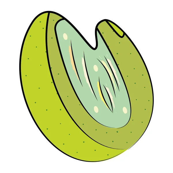 Isolated sketch of a kiwi slice Vector — ストックベクタ