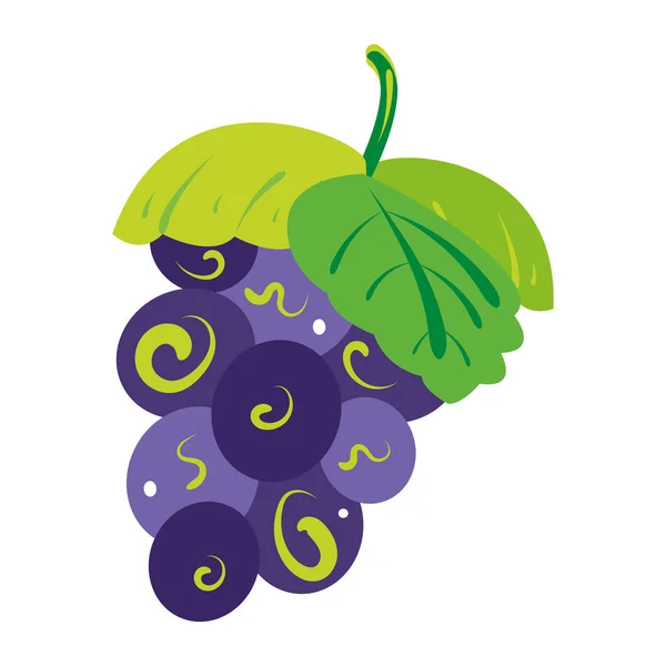 Ícone de uvas coloridas isolado Design bonito Vector —  Vetores de Stock