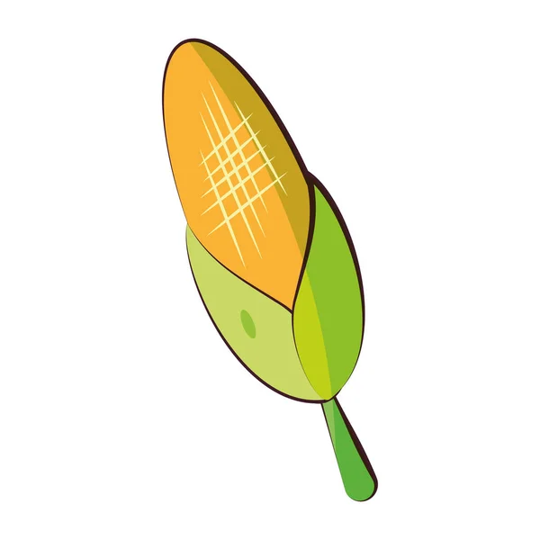 Изолированная Цветная Икона Кукурузы Плоская Конструкция Векторная Иллюстрация — стоковый вектор