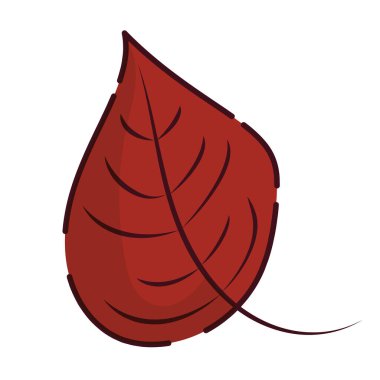 İzole edilmiş sonbahar yaprağı simgesi Vektör illüstrasyonuName