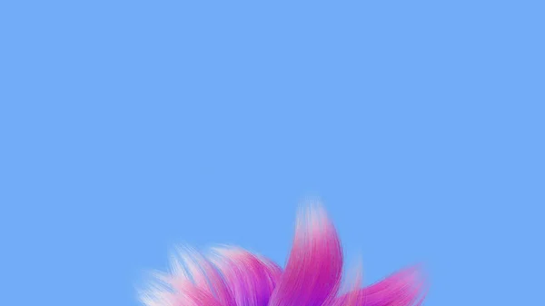 Shaggy Abstraction Render Multicolored Flower Pink Fluffy Abstract Form Petals — Stock Photo, Image