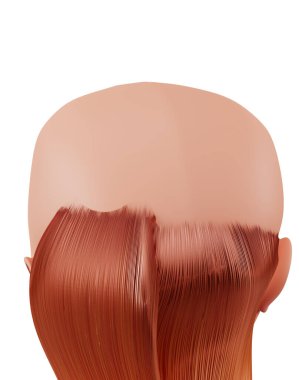 Beyaz arka planda izole edilmiş kel genç bir kadın. Kellik kavramı. Saç dökülmesi. 3d hazırlayıcı