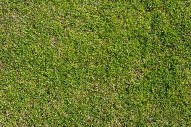 Green grass garden mat