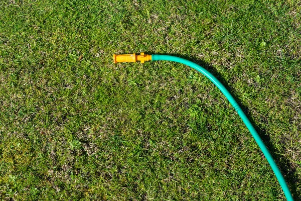 Green grass carpet with a hose