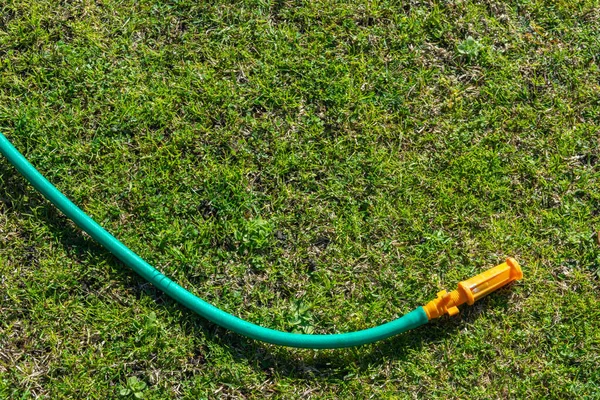 Green grass carpet with a hose