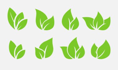 Yeşil vektör koleksiyonu terk eder - Çevre dostu logolar, simgeler veya klip sanatı olarak kullanmak için grafiksel elementler kümesi.